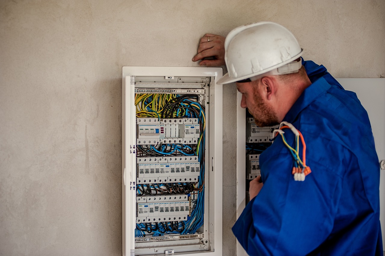 Électricité domestique